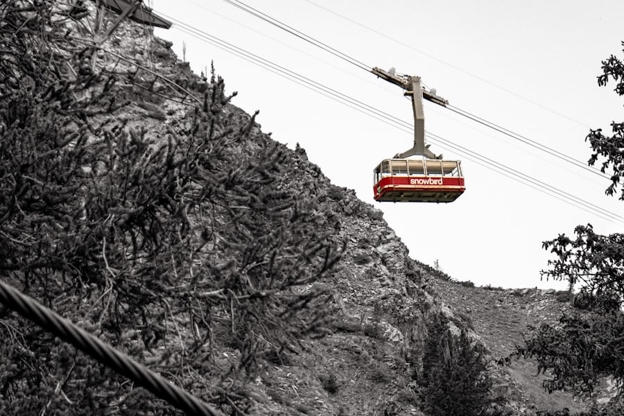 Snowbird Ski and Summer Resort